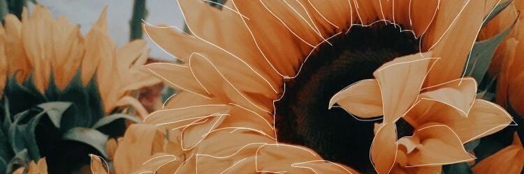 JohaRdok's profile banner image