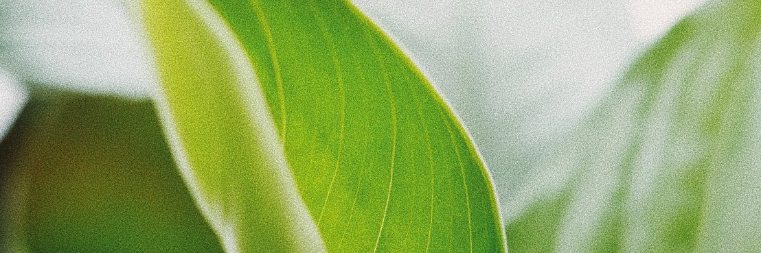 gtk1x's profile banner image