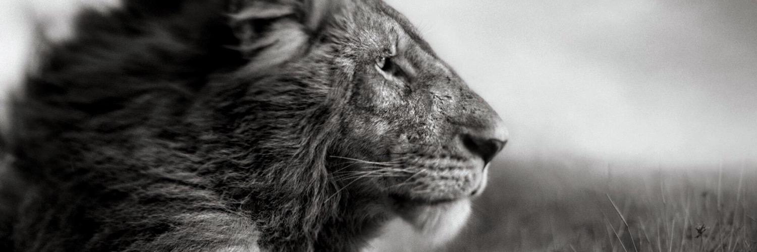 Str8Fresh2Def's profile banner image