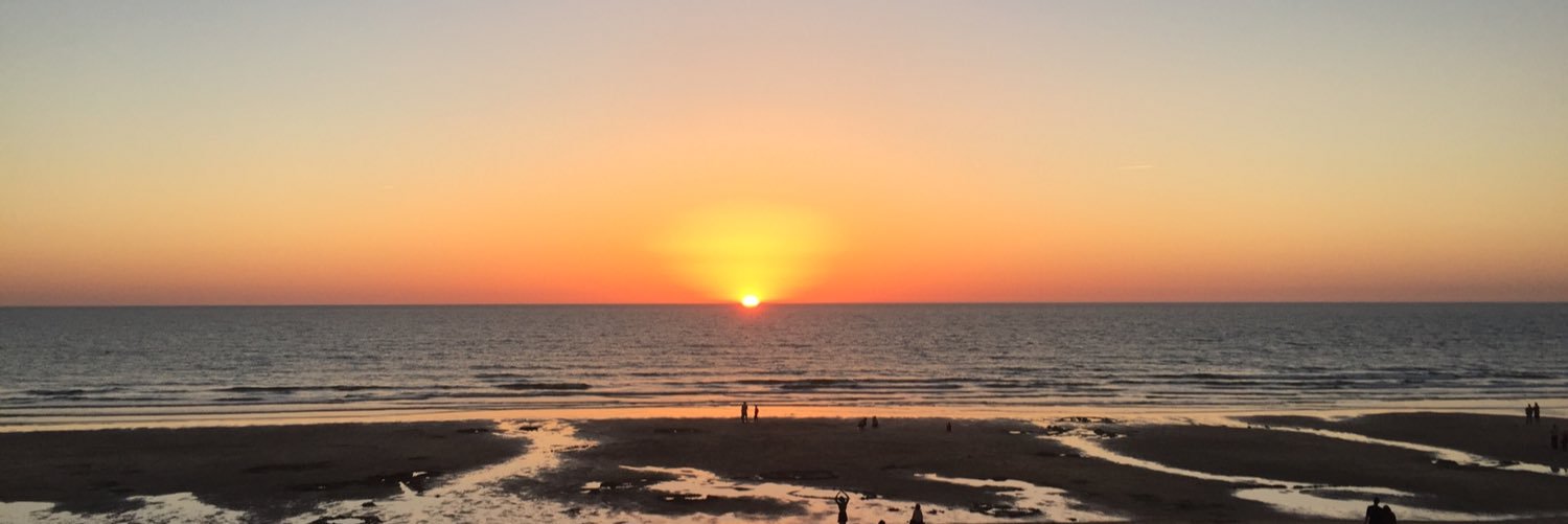 civil disobedience🇩🇪 banner