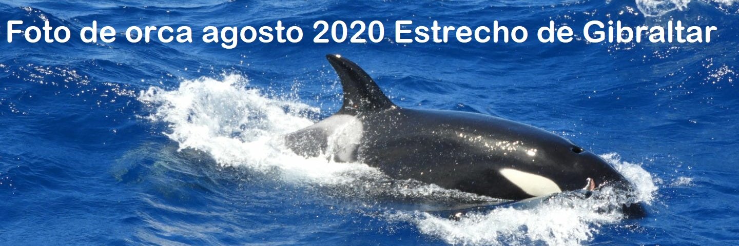 isafoster's profile banner image
