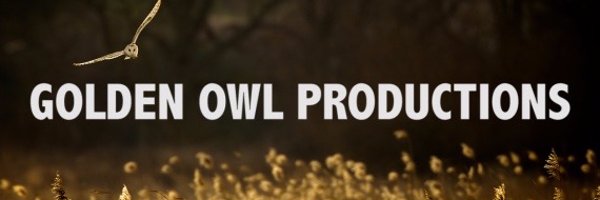 GoldenOwlProductions Profile Banner