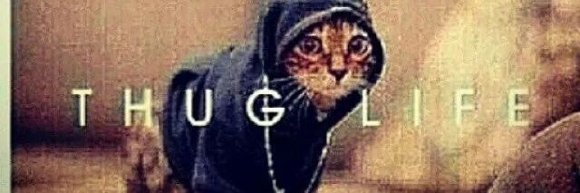Shotta_Cat's profile banner image