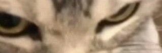 AlijahForever's profile banner image