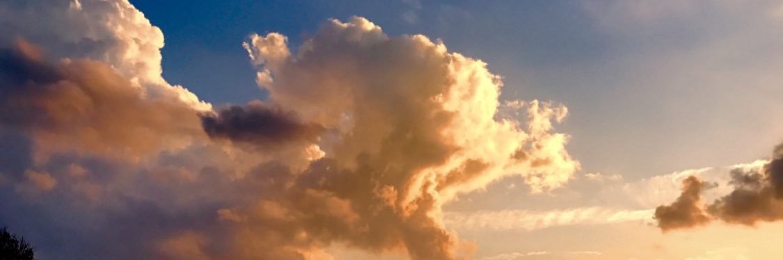 116LeGuin's profile banner image