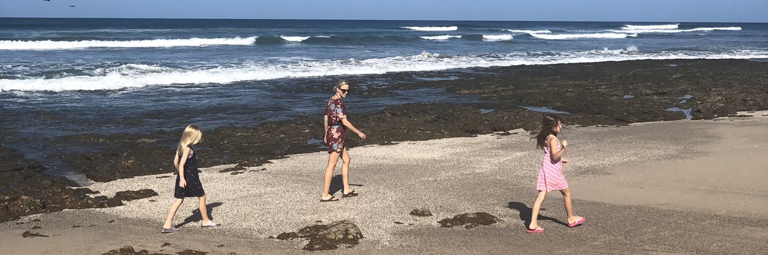 Lisa Schreib Walker banner