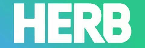 mr.steez banner