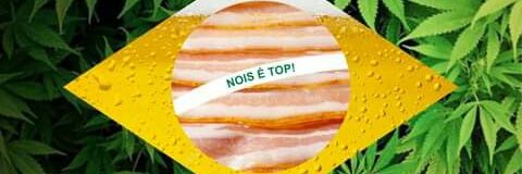 ChapolinVicious's profile banner image