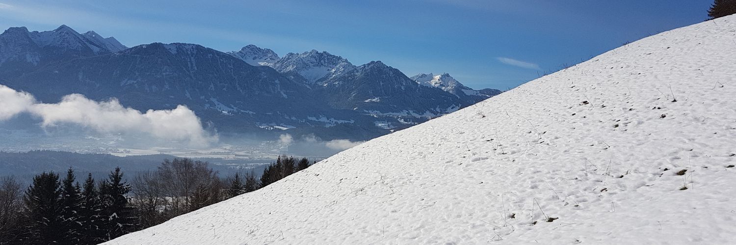 BernhardM1's profile banner image