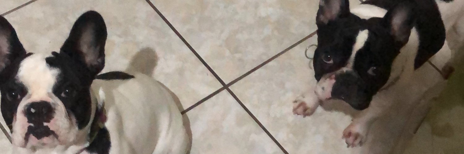 FelipeEsteveA's profile banner image