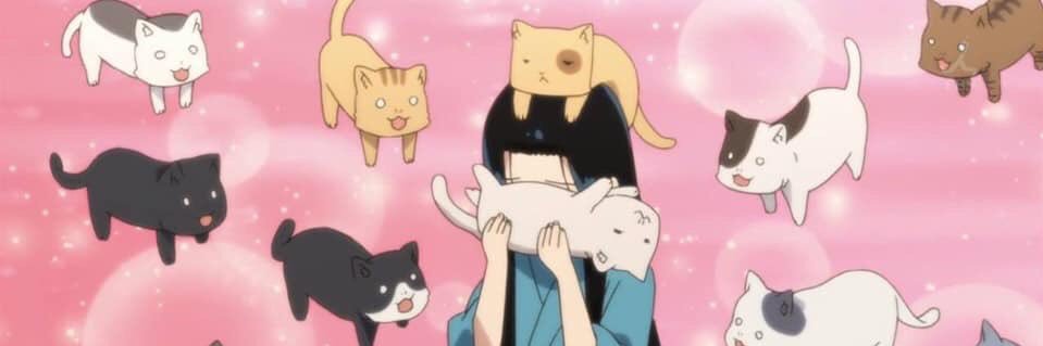 gentleneko1's profile banner image