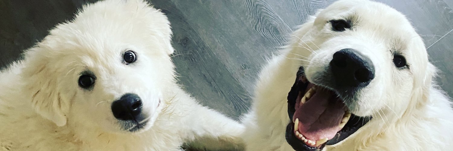 Rachel Arlen-Leon banner