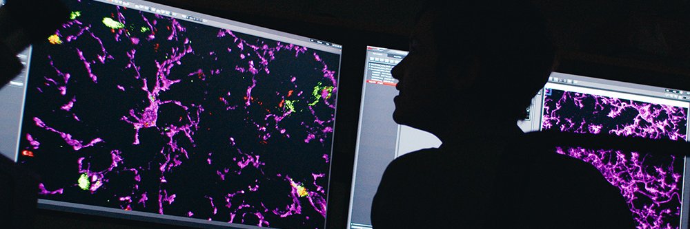 UK Dementia Research Institute's banner