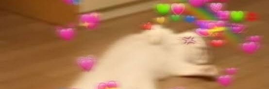 ꒰ ⁺🥛⋆ 💡°˖✧ banner