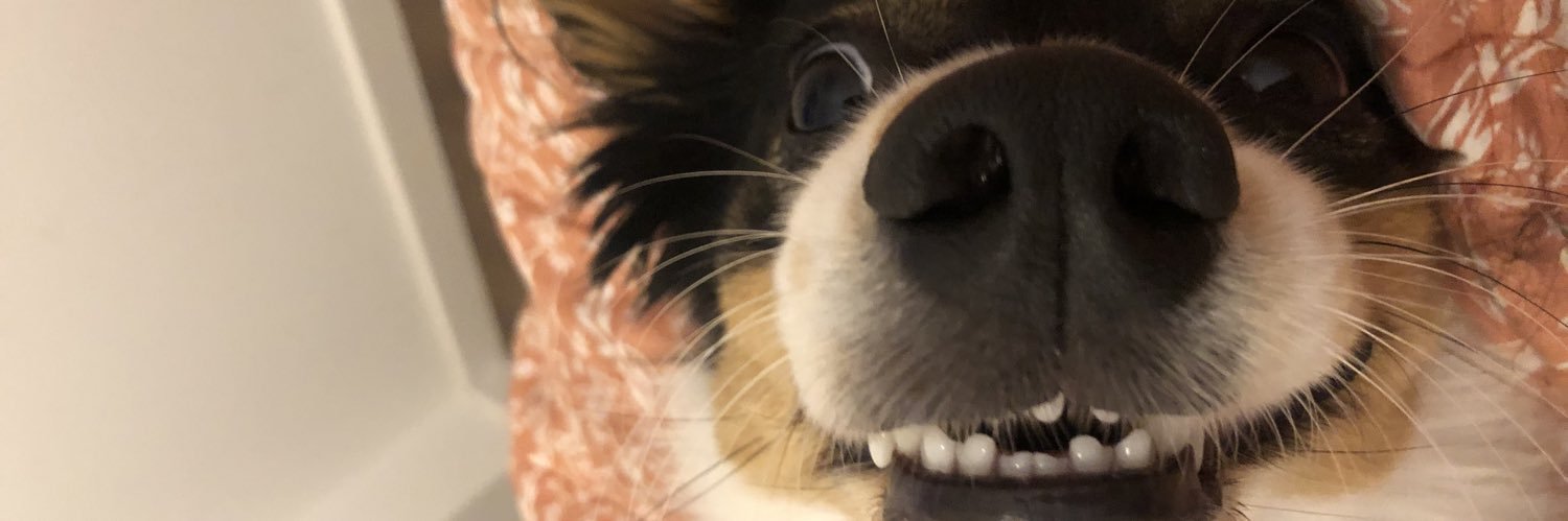 rociodeacon's profile banner image