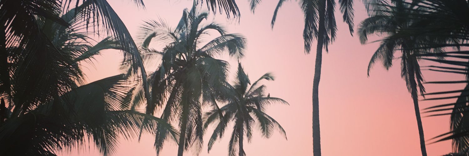 Samosaur_Rex's profile banner image