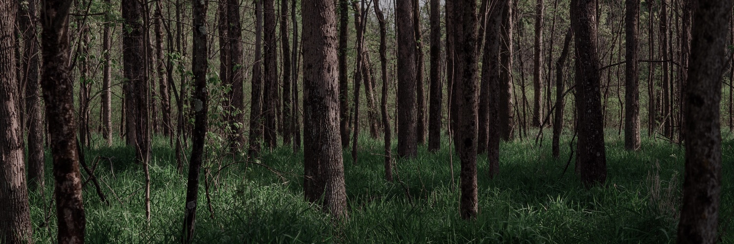jaycekolinski's profile banner image