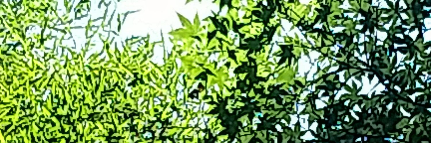 hinor55's profile banner image
