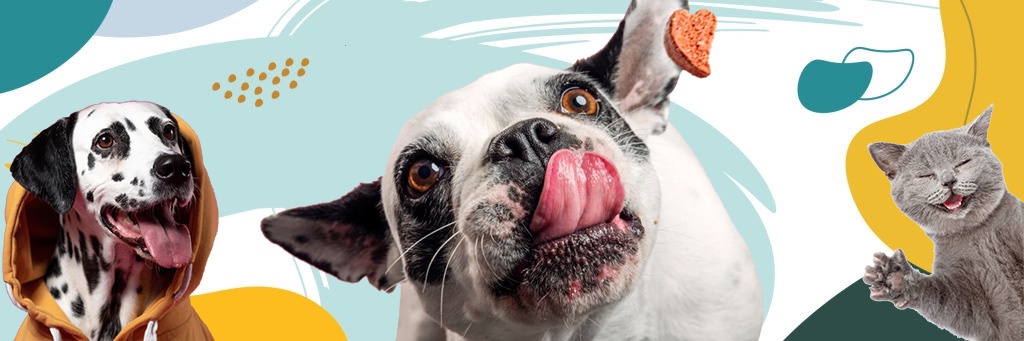 My Pet Store banner