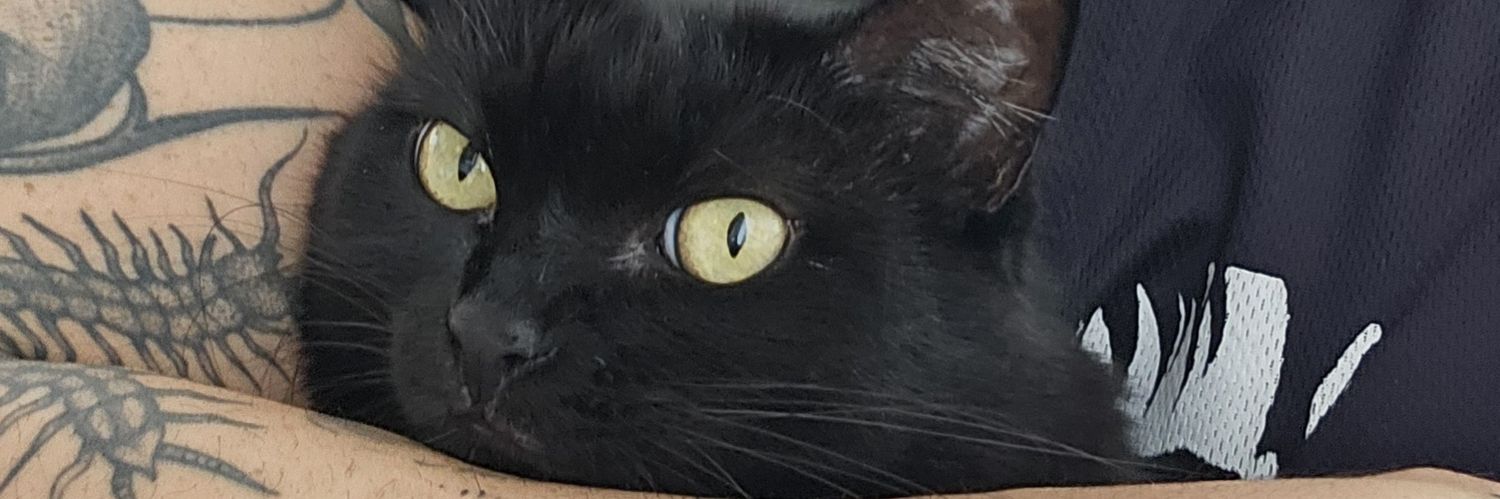 fig_maycon's profile banner image