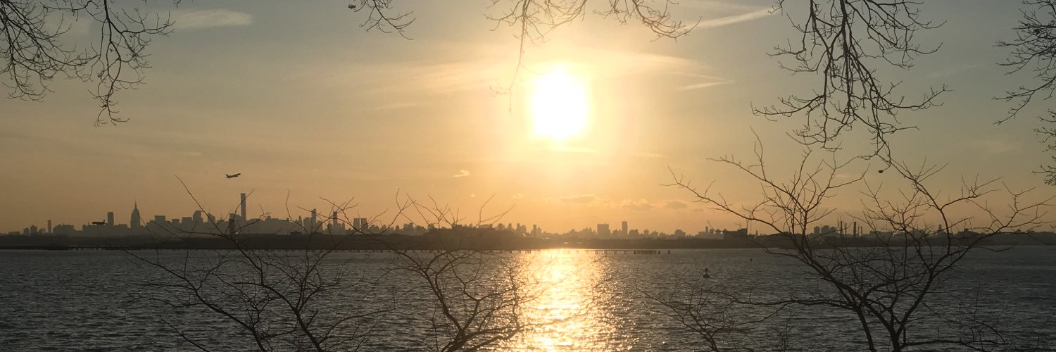 nycwildflower's profile banner image