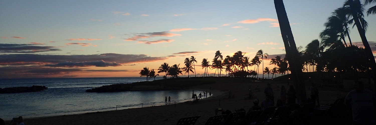 Michelle Shoffstall banner