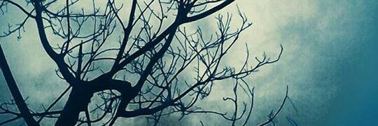 Blue82Eka's profile banner image