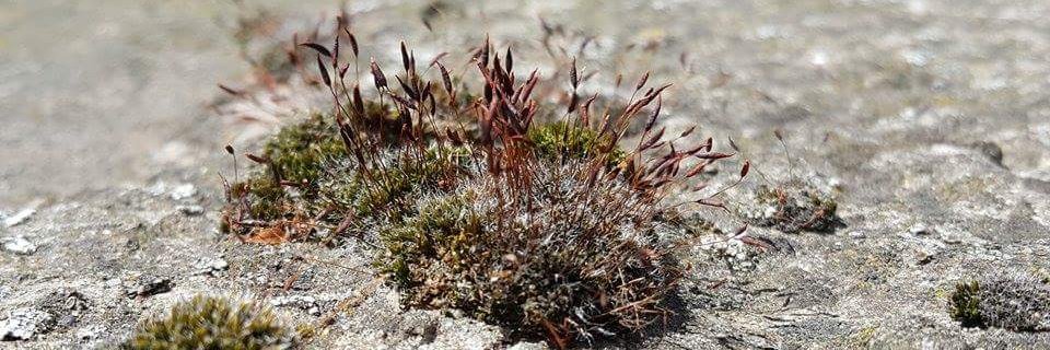 Radosław Potrac banner