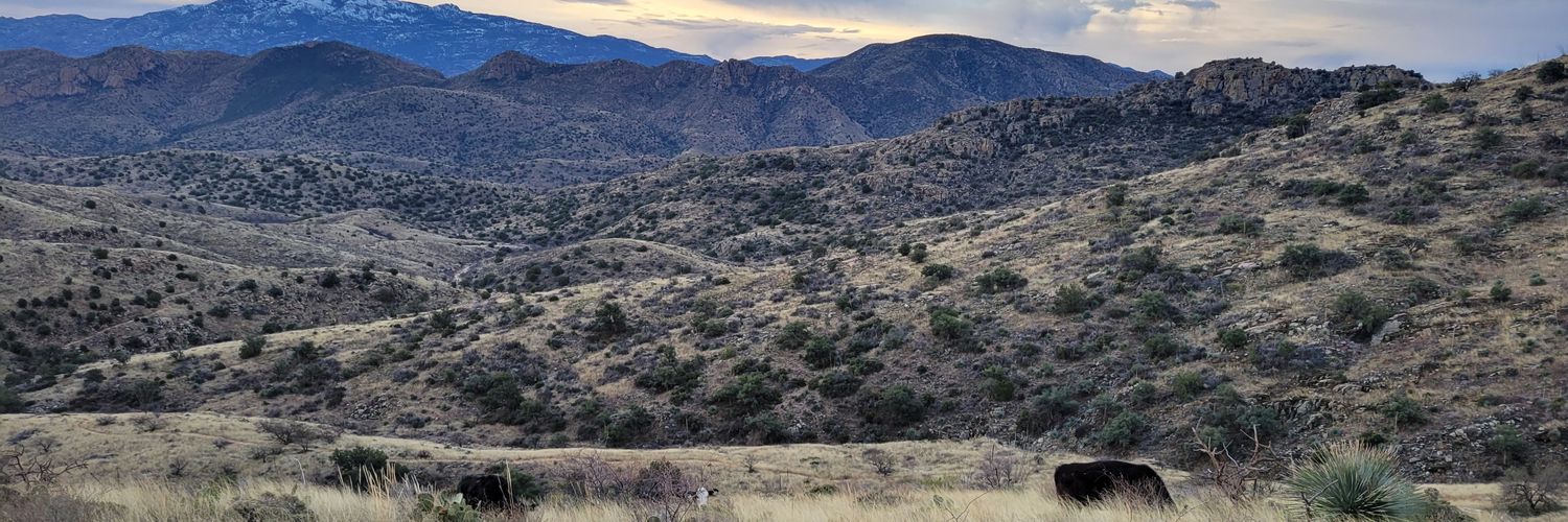 Dr. Linnea K. Hernandez banner