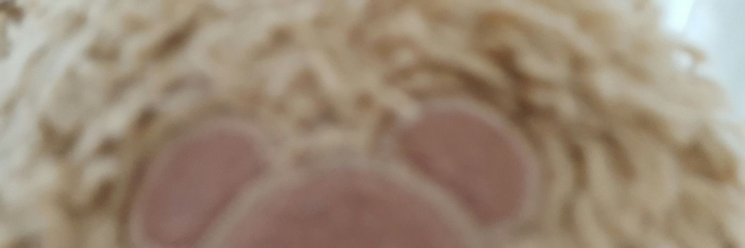 Duffin_HUGS's profile banner image