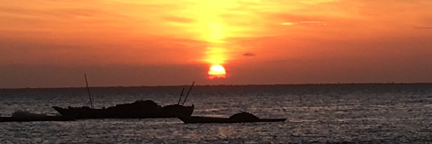 wilma_mui's profile banner image