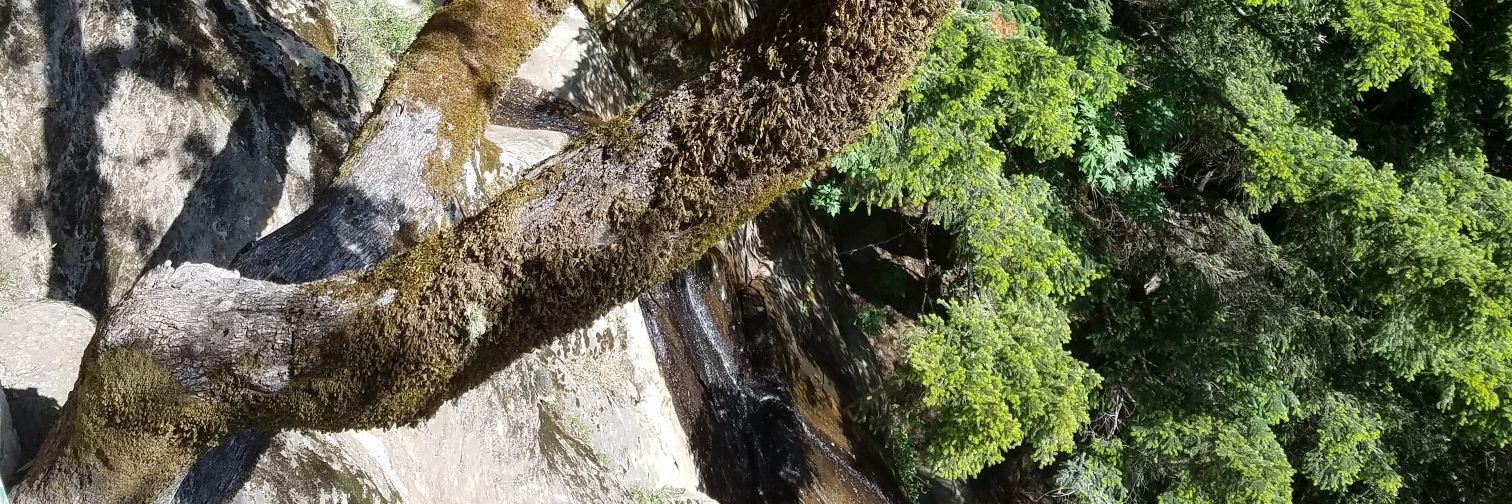 weezer831's profile banner image