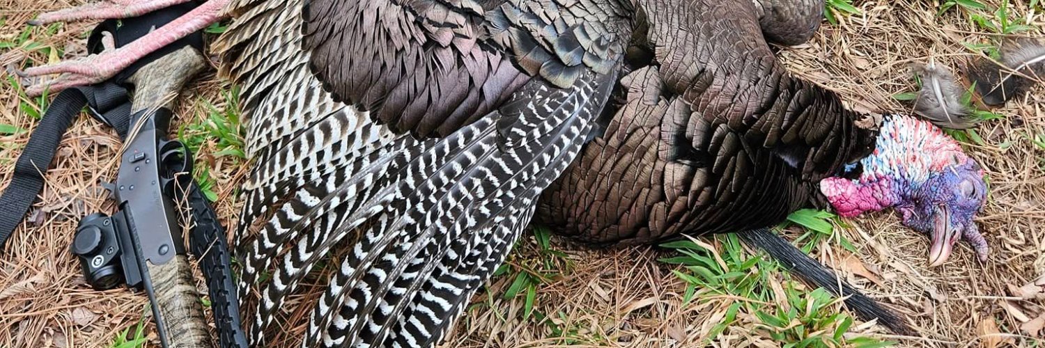 Nelson Langub banner