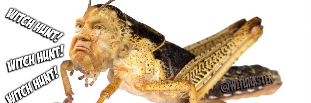 How great is our God banner