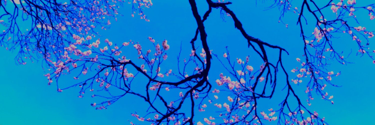 prodbySTER's profile banner image