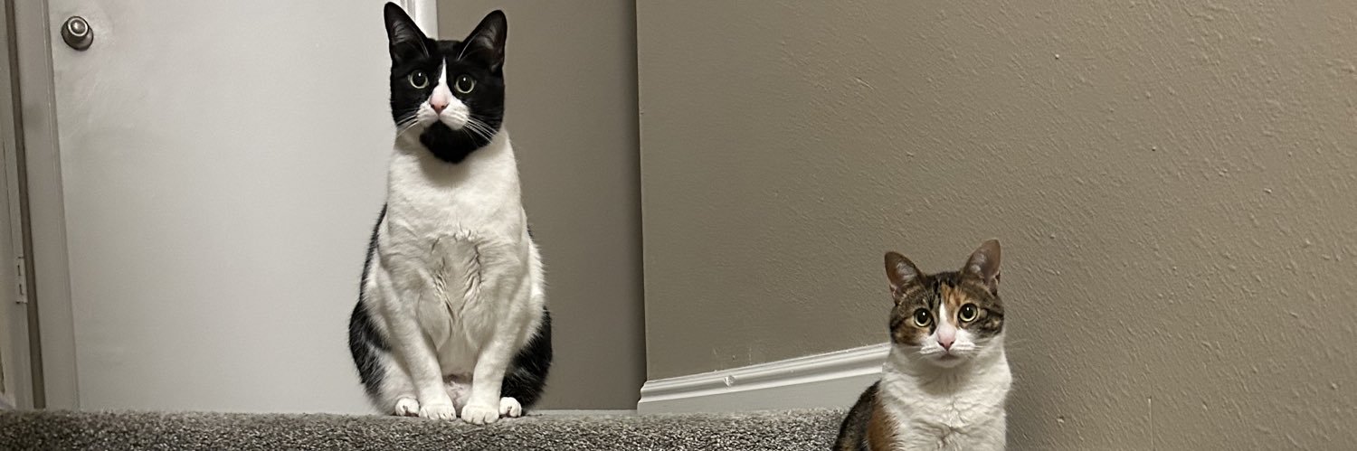 Cyn_Rodz's profile banner image