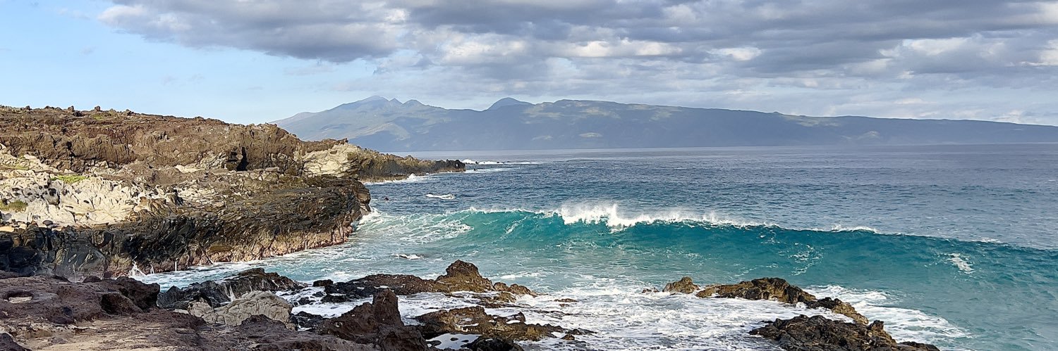 🌺 Jennifer 🌺 banner