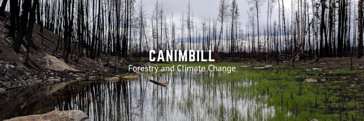 canimbill's profile banner image