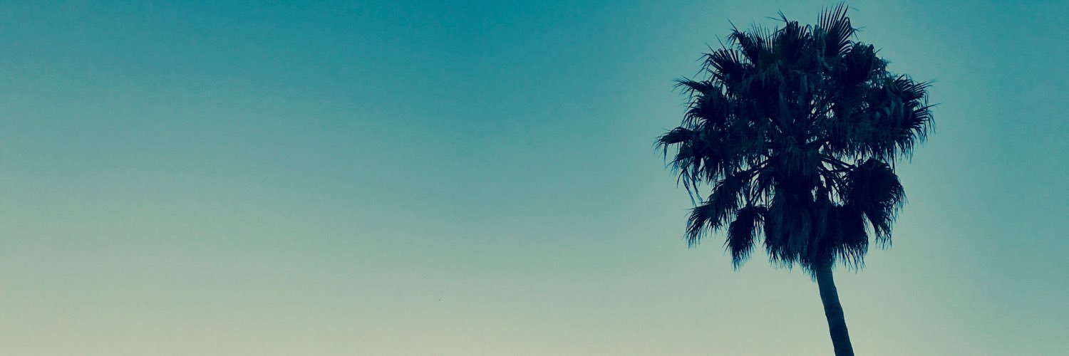 Aaron Dias-Melim banner