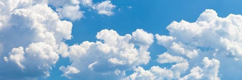 LulyPalumbo's profile banner image