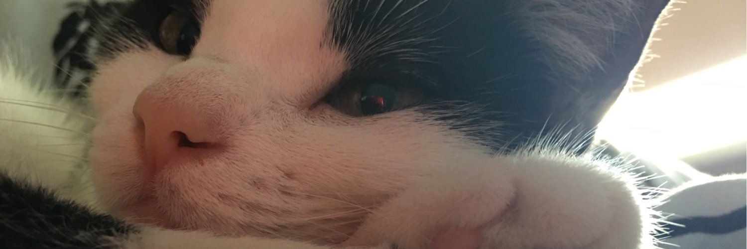 Madz661's profile banner image