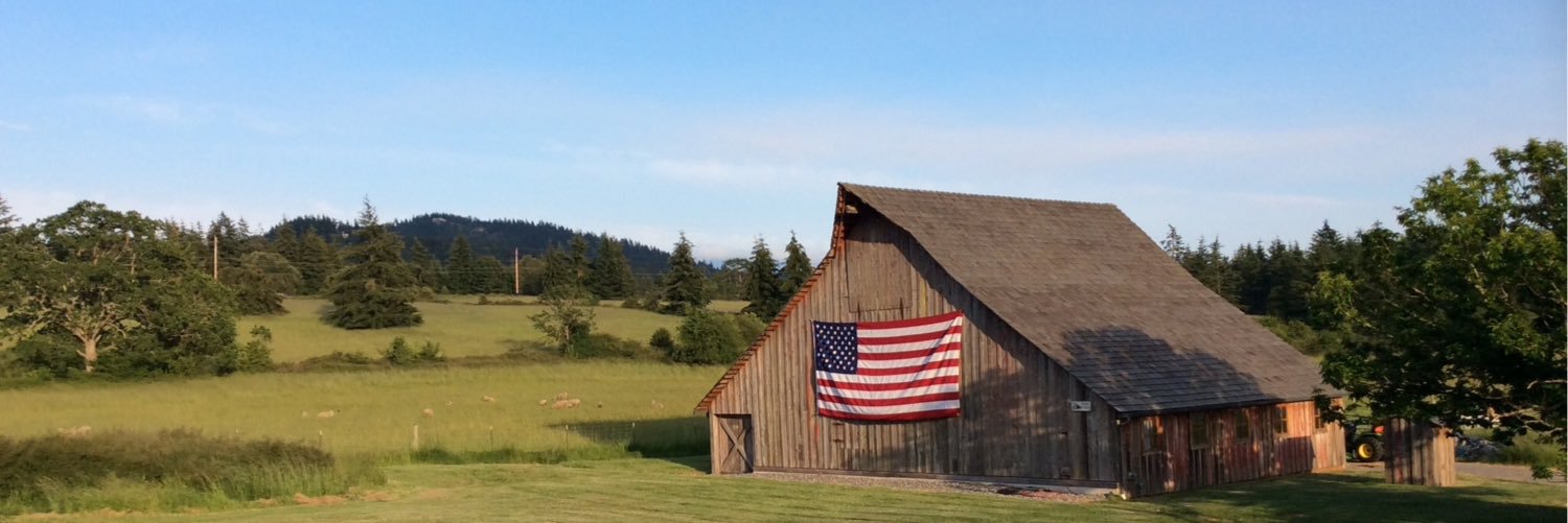 Angie banner