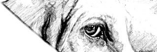 mawilken2004's profile banner image