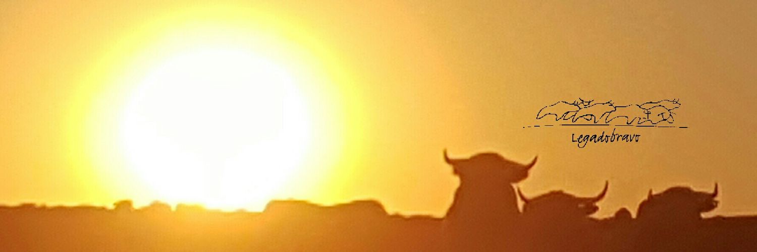 LegadoBravo's profile banner image
