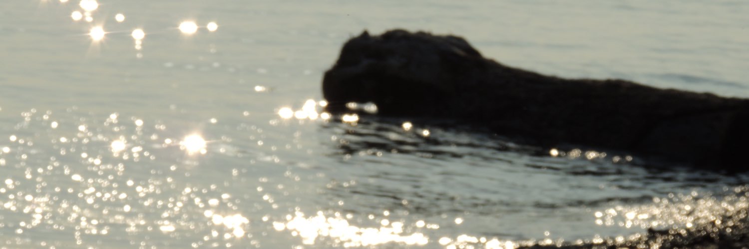 523Han's profile banner image
