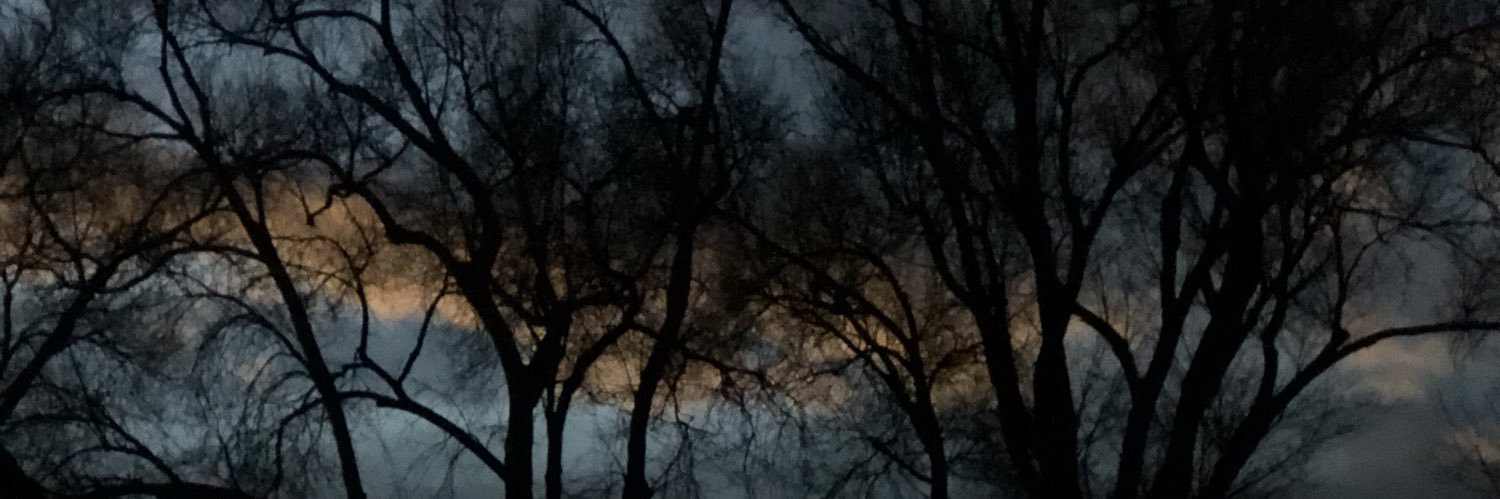 altcarebear's profile banner image