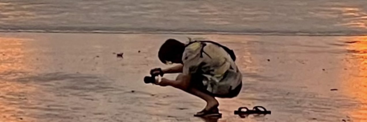 Stephanie Rewis banner