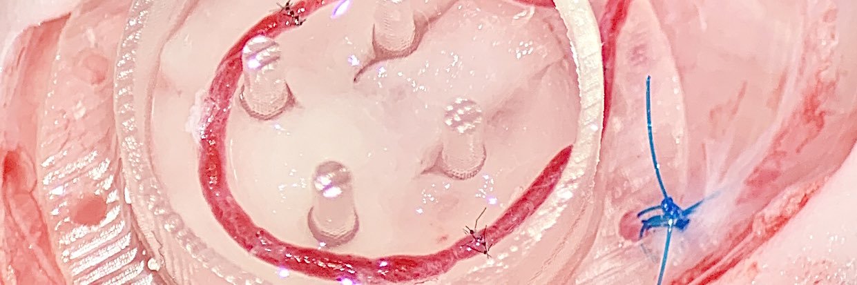 Dominic Henn banner
