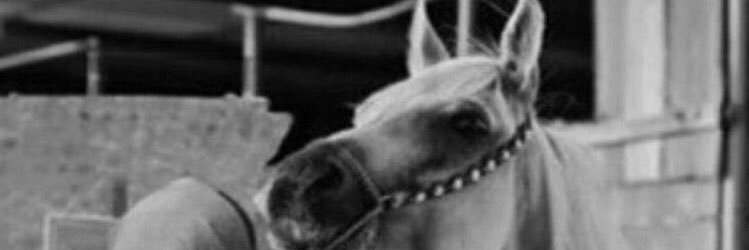 kk_2o_'s profile banner image