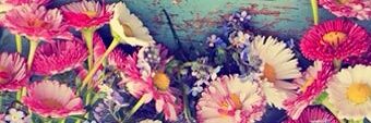 sfaby_r's profile banner image